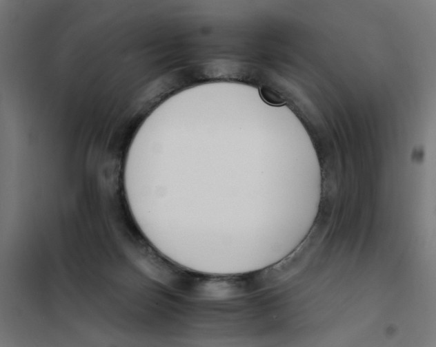 X0000101680171200808071117