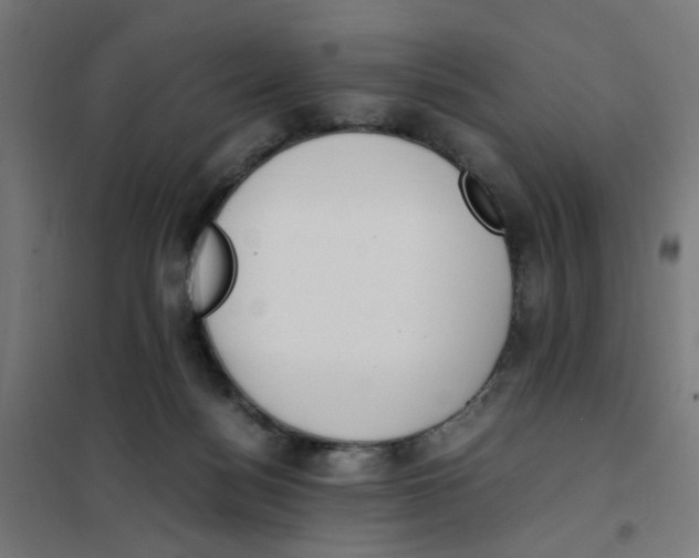 X0000101680172200808071117