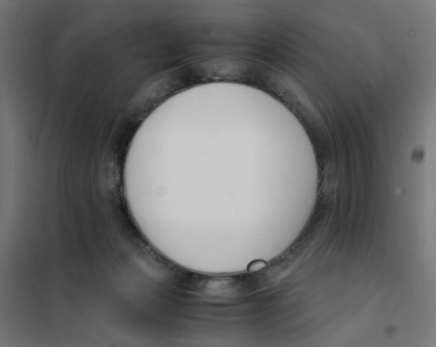 X0000101680173200808071117