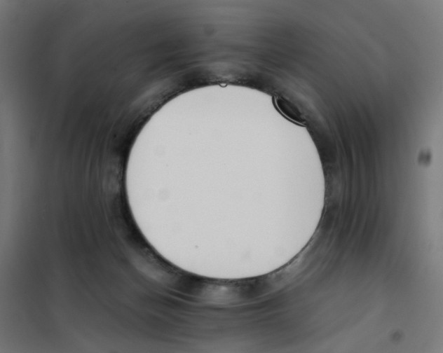 X0000101680174200808071117