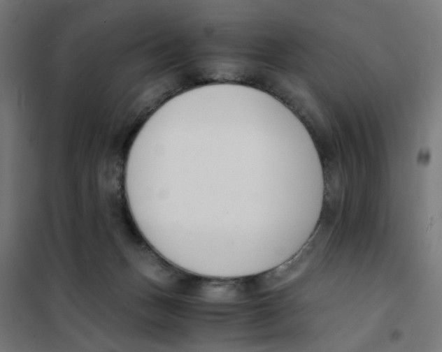 X0000101680175200808071117