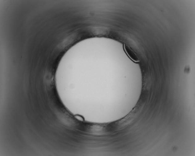 X0000101680176200808071117