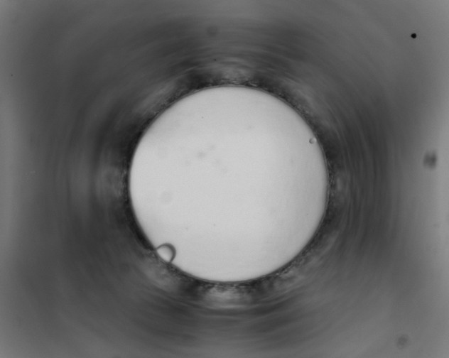 X0000101680177200808071117