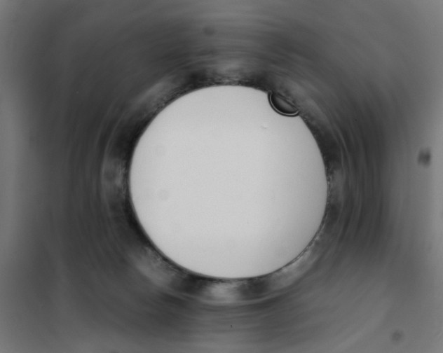 X0000101680178200808071117