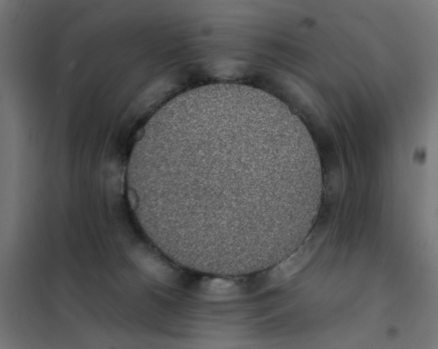 X0000101680180200808071117