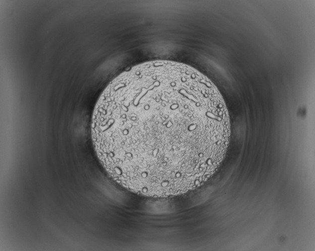 X0000101680181200808071118