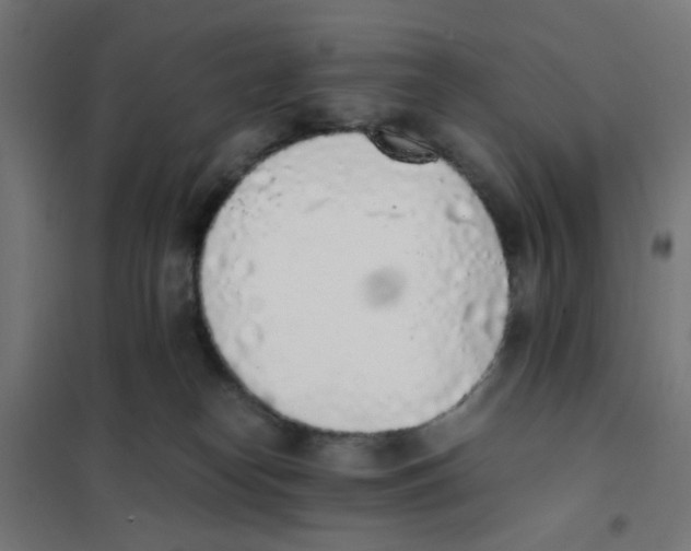 X0000101680182200808071118