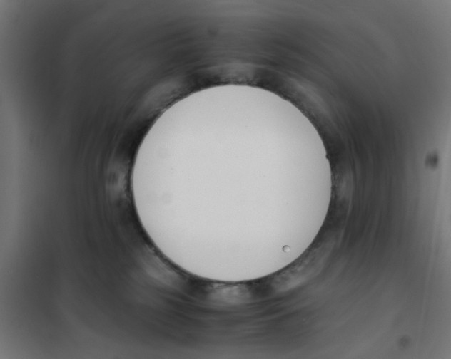 X0000101680185200808071118