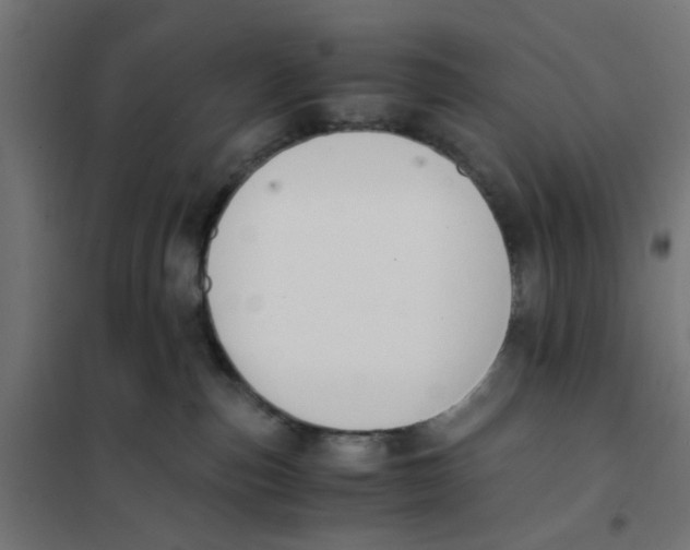 X0000101680187200808071118