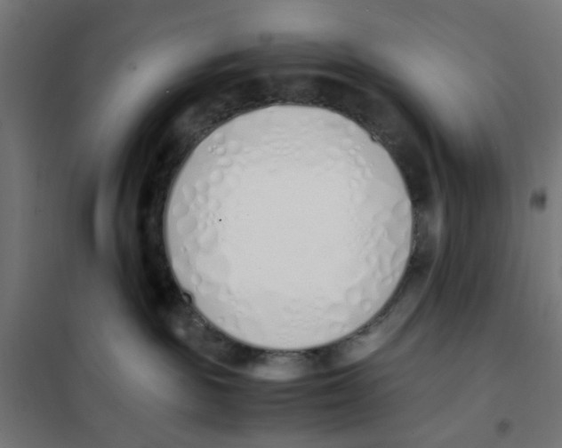 X0000101680189200808071118