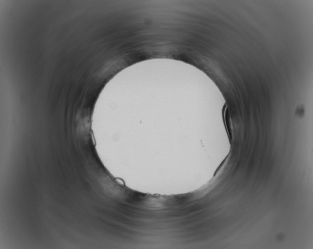 X0000101680190200808071118