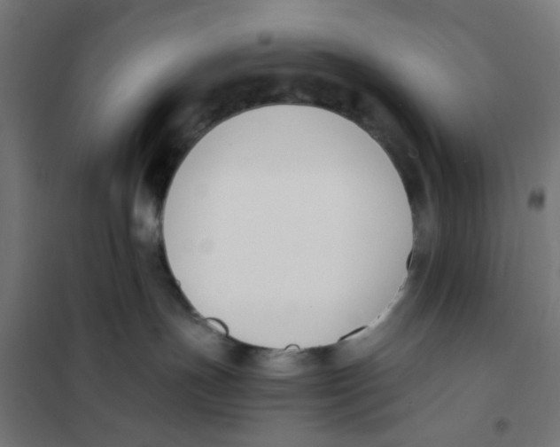 X0000101680191200808071118