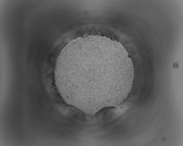 X0000101680192200808071118