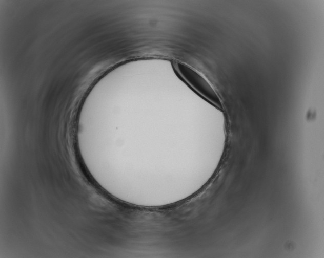 X0000101680193200808071117