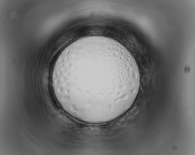 X0000101680194200808071117