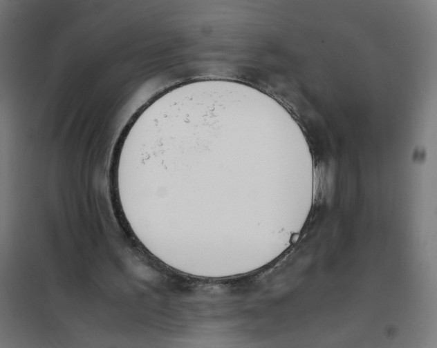 X0000101680195200808071117