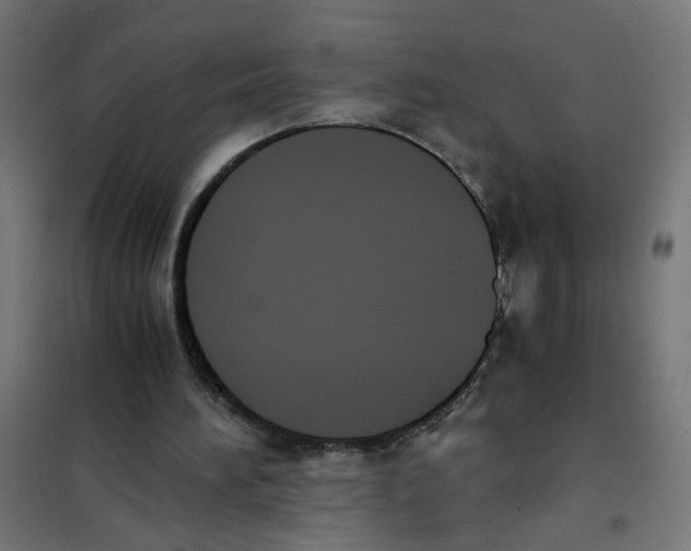 X0000101680196200808071117