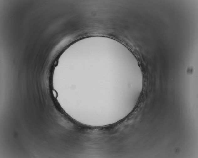 X0000101680197200808071117