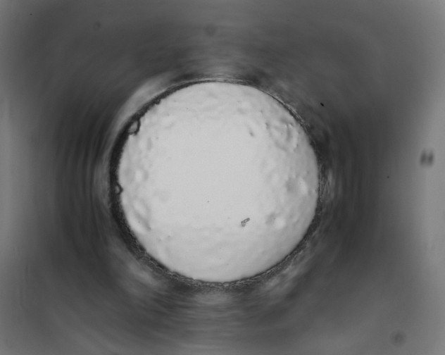 X0000101680198200808071117