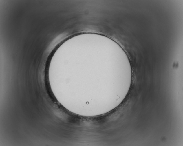 X0000101680199200808071117