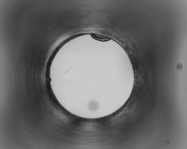 X0000101680200200808071117