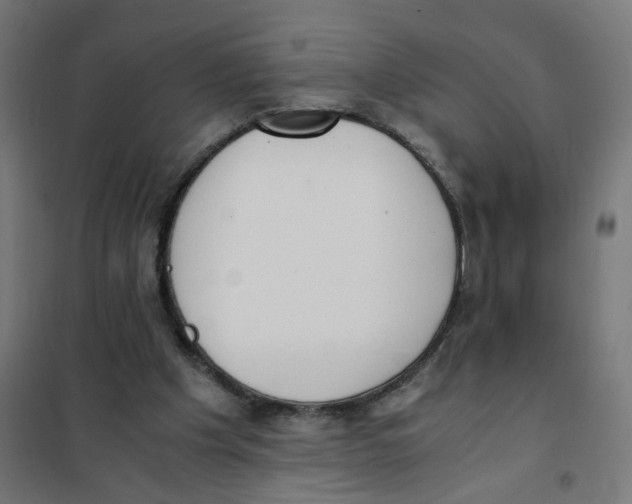 X0000101680201200808071117