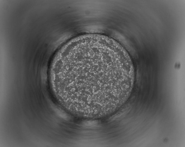 X0000101680202200808071117