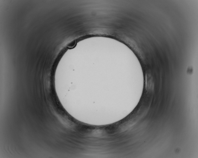X0000101680204200808071117