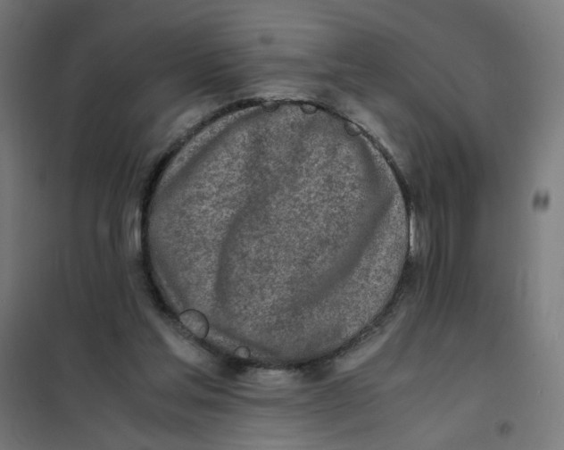 X0000101680205200808071117