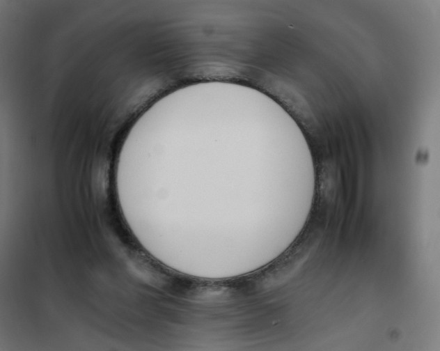 X0000101680206200808071117