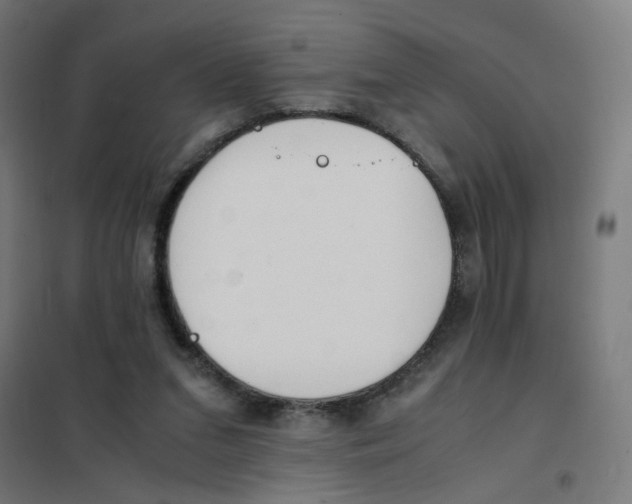 X0000101680207200808071117