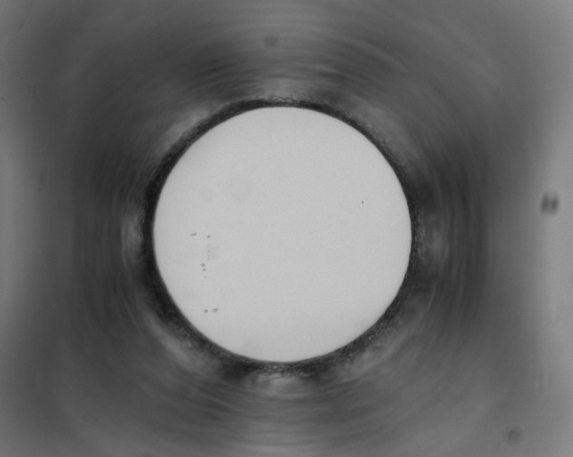 X0000101680208200808071117