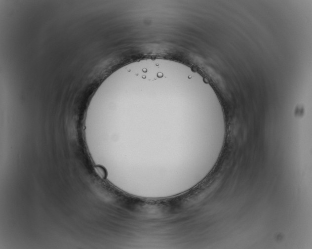 X0000101680209200808071117