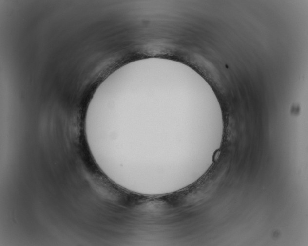 X0000101680210200808071117