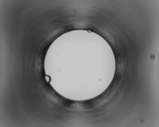 X0000101680211200808071117
