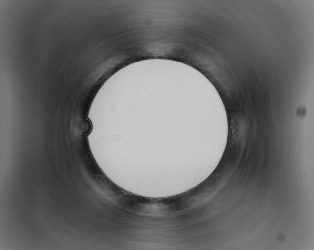 X0000101680212200808071117