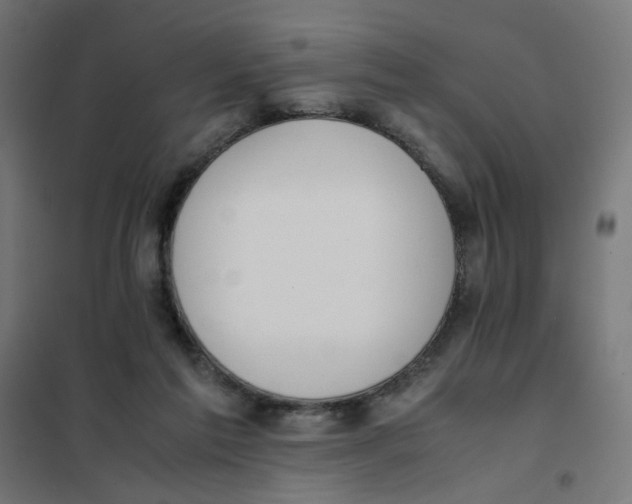 X0000101680213200808071117