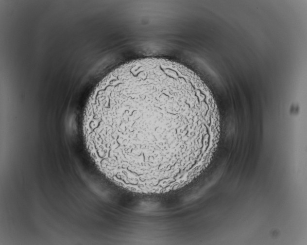 X0000101680214200808071117