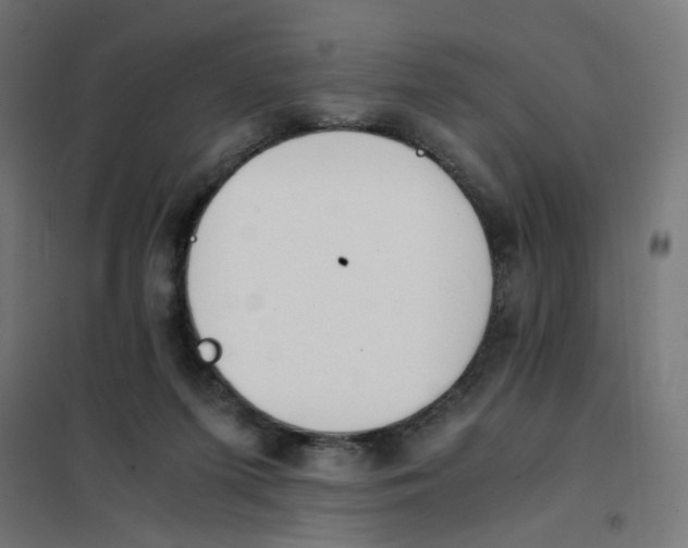 X0000101680215200808071117