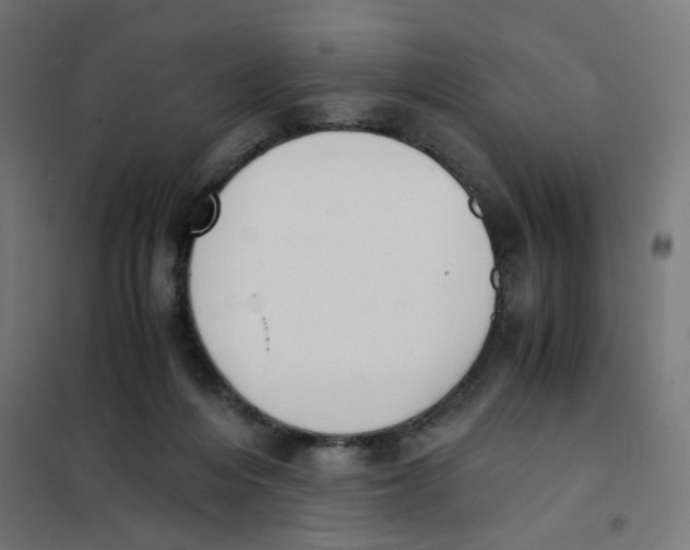 X0000101680216200808071117