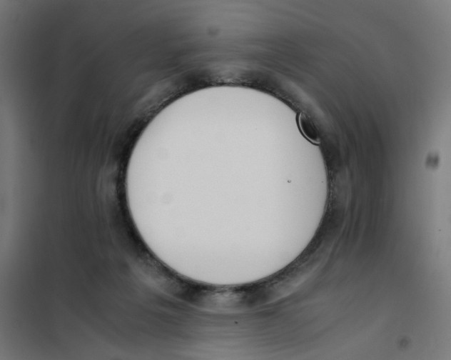 X0000101680217200808071117