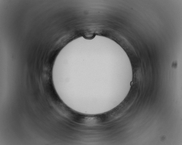 X0000101680218200808071117