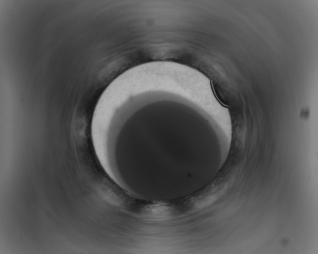 X0000101680219200808071117