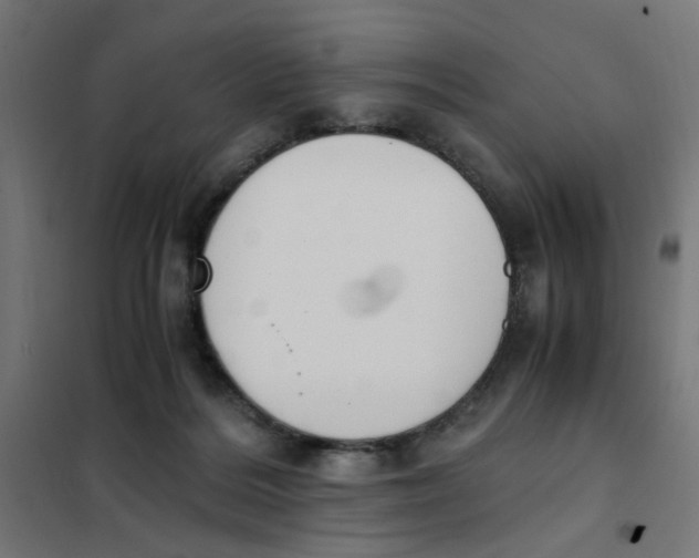 X0000101680220200808071117
