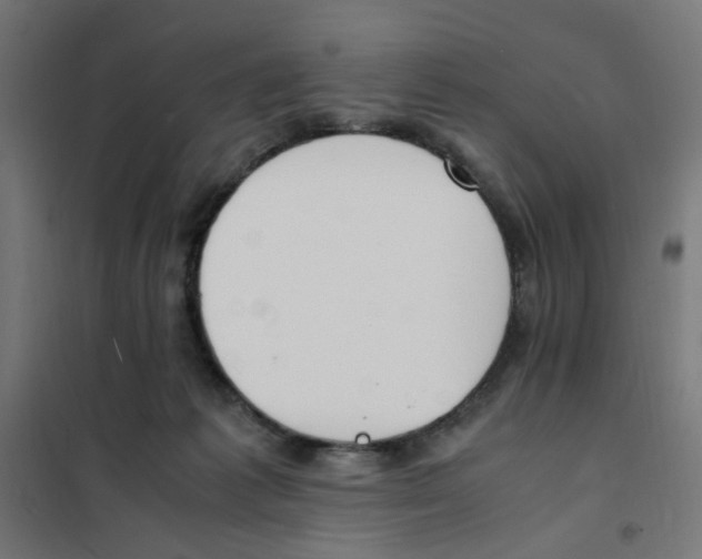 X0000101680221200808071117