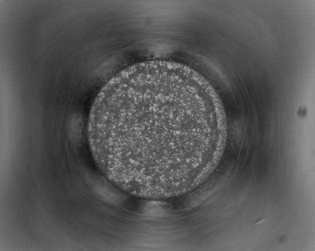 X0000101680222200808071117