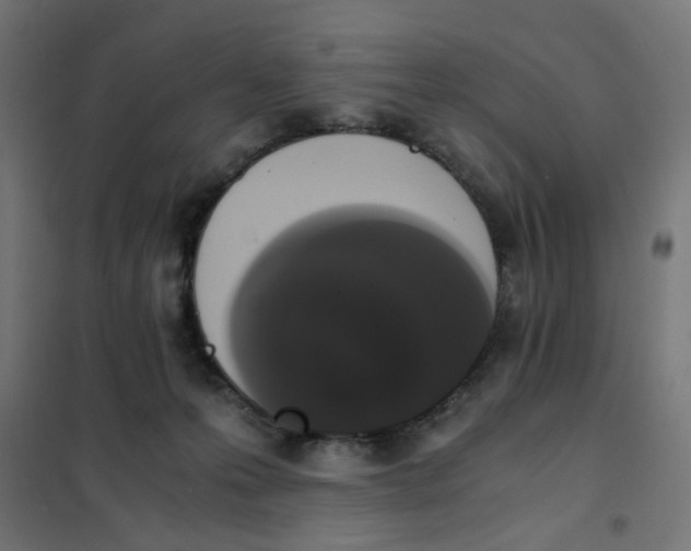 X0000101680223200808071117
