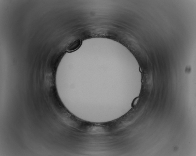 X0000101680224200808071117