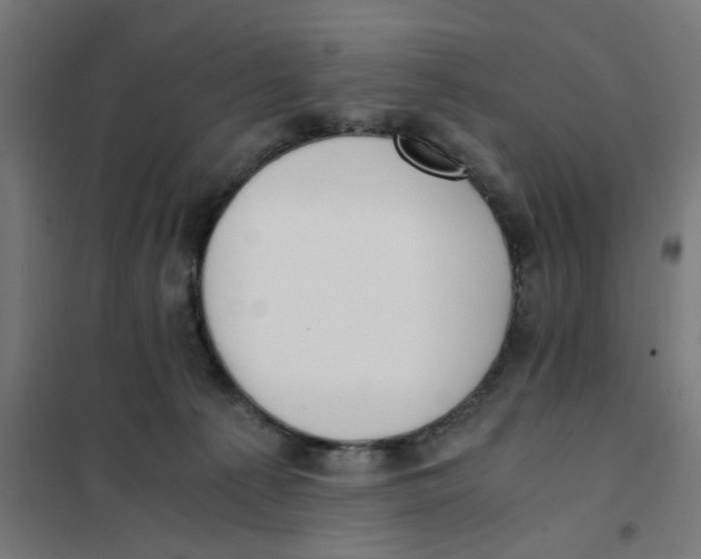 X0000101680225200808071117