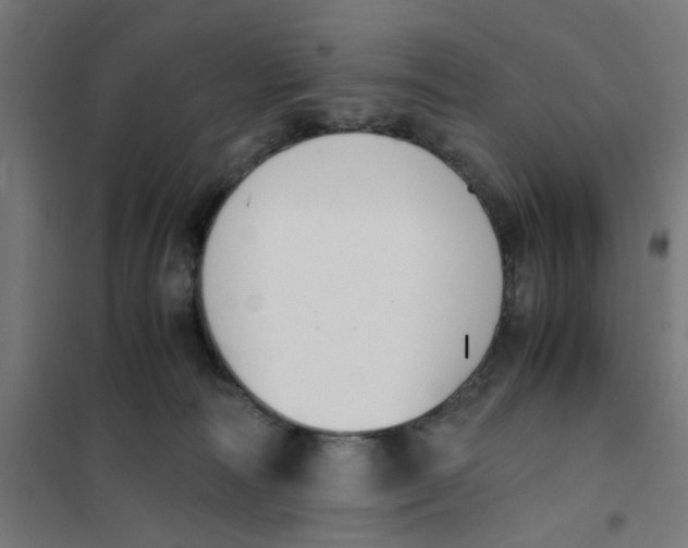 X0000101680226200808071117
